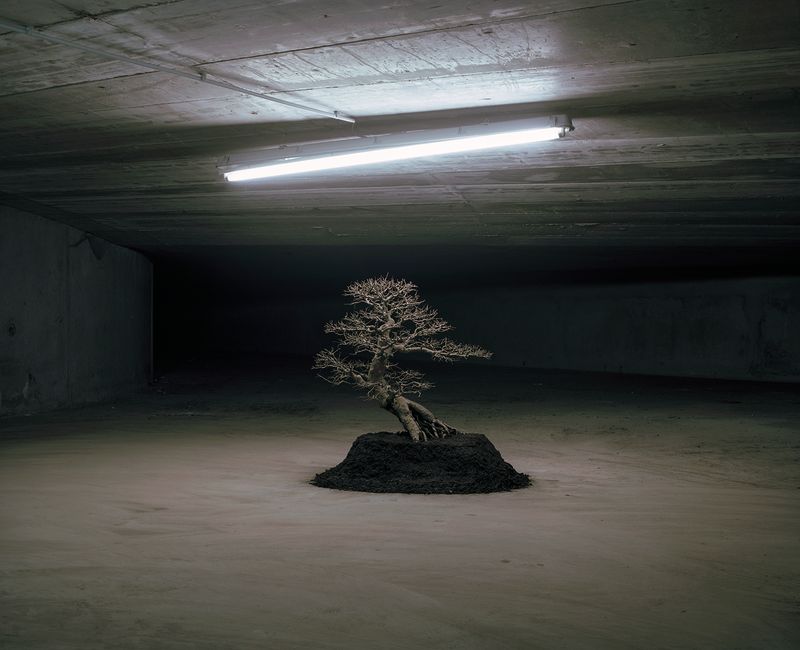 © Mark Martinko - Image from the Artificial green photography project