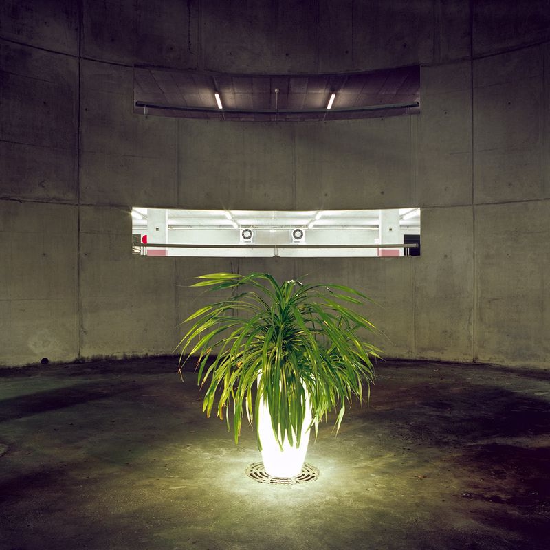 © Mark Martinko - Image from the Artificial green photography project
