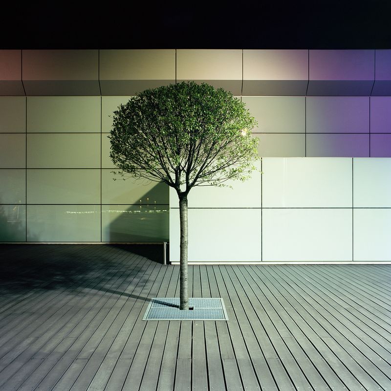© Mark Martinko - Image from the Artificial green photography project