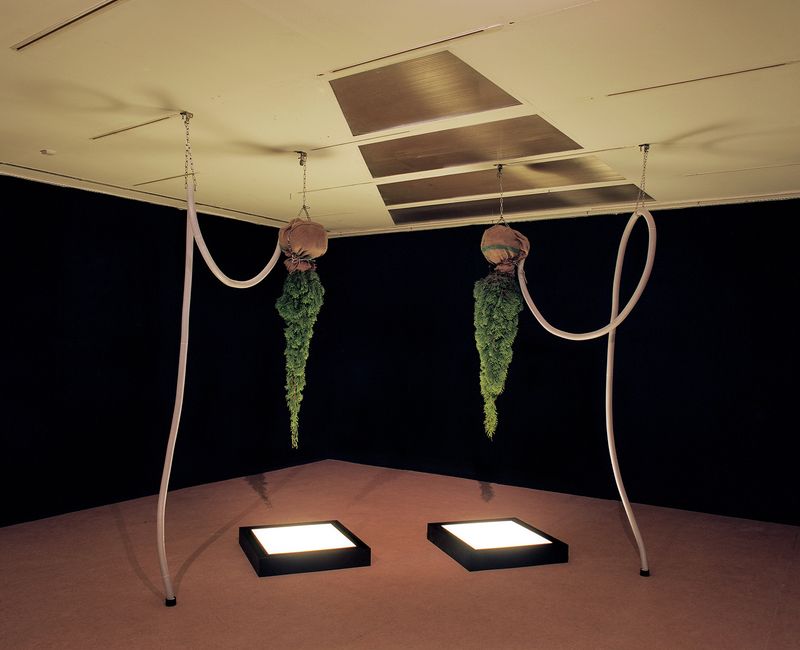 © Mark Martinko - Image from the Artificial green photography project