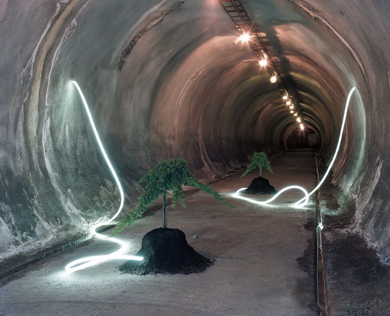 © Mark Martinko - Image from the Artificial green photography project