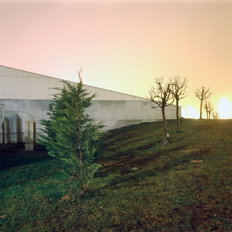 © Mark Martinko - Image from the Artificial green photography project