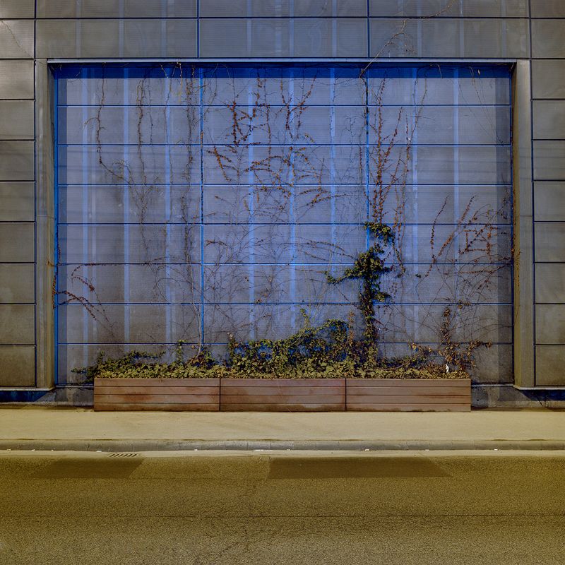 © Mark Martinko - Image from the Artificial green photography project