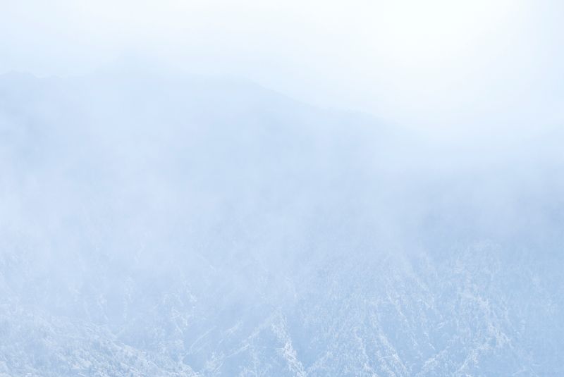 © Marjolein Blom - Thales #5