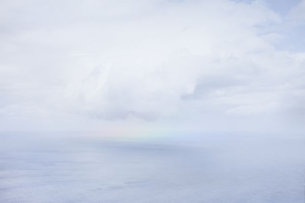 © Marjolein Blom - Thales #2