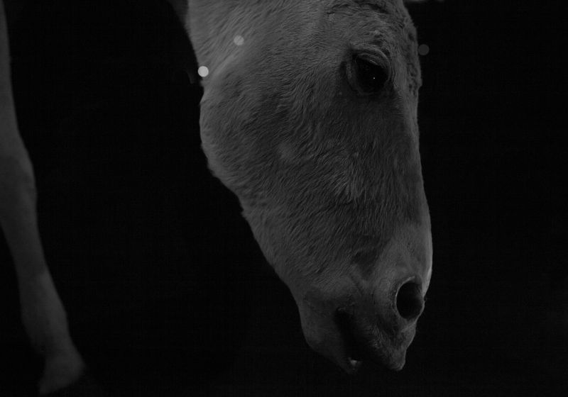 © Marjolein Blom - Image from the Failing Forward photography project