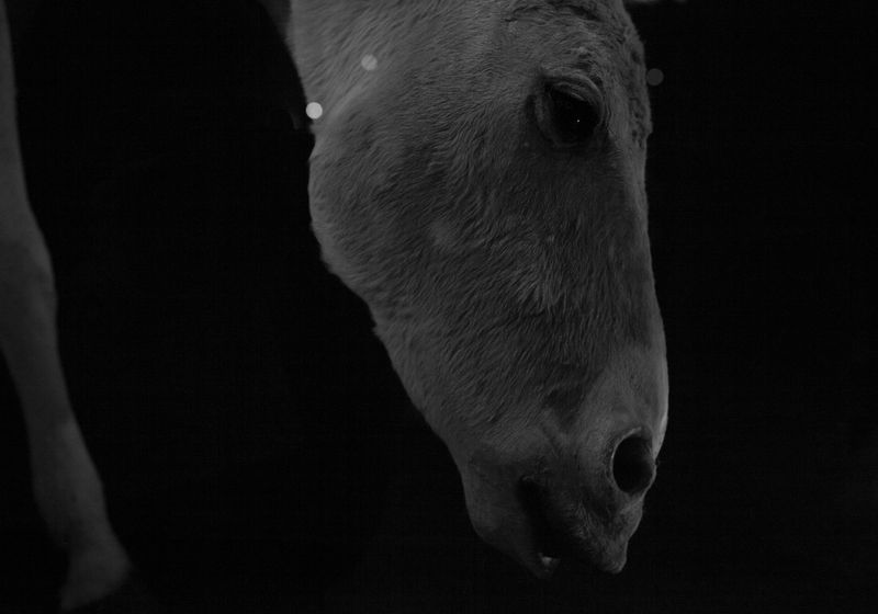 © Marjolein Blom - Image from the Failing Forward photography project