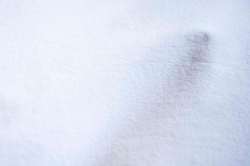 © Ana Leal - Day 99