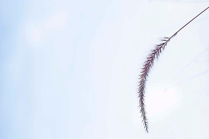 © Ana Leal - Day 105