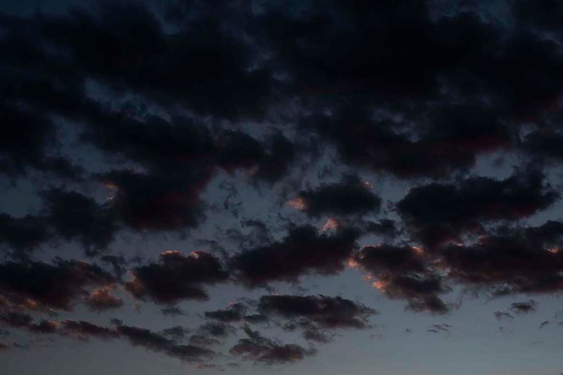 © Ana Leal - Day 147