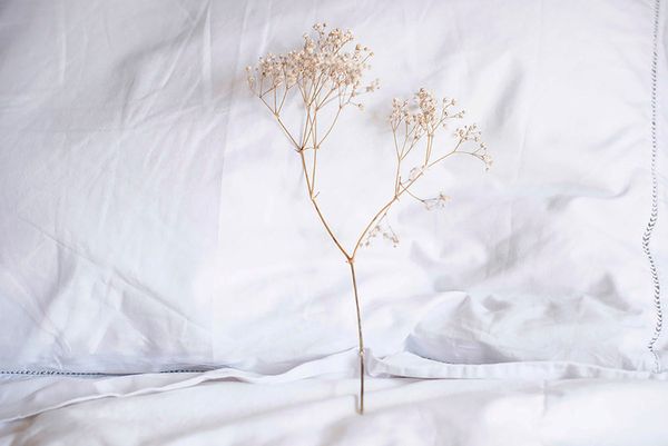 © Ana Leal - Day 38