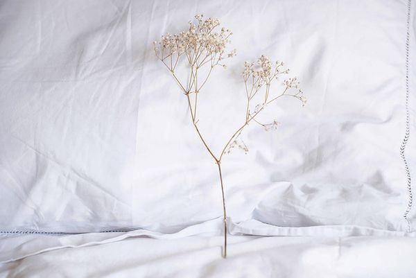 © Ana Leal - Day 38