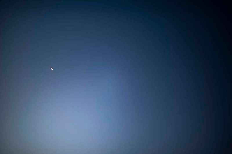 © Ana Leal - Day 111