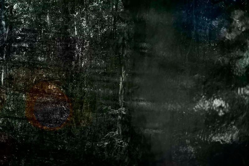 © Ana Leal - Vanishing #1