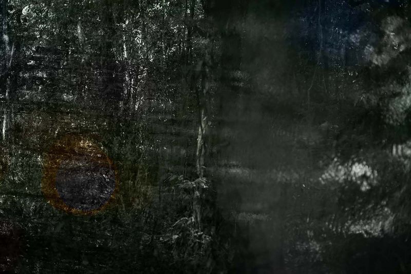 © Ana Leal - Vanishing #1