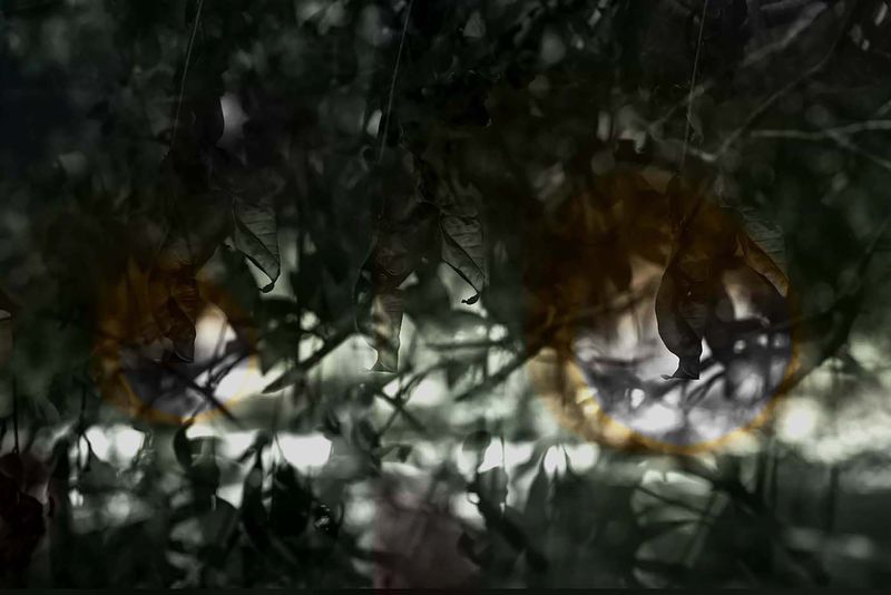 © Ana Leal - Vanishing #9