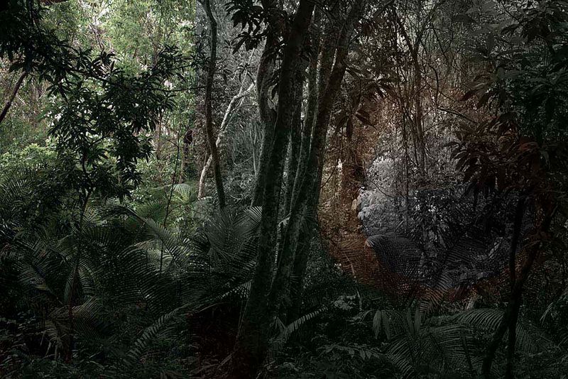 © Ana Leal - Vanishing #12