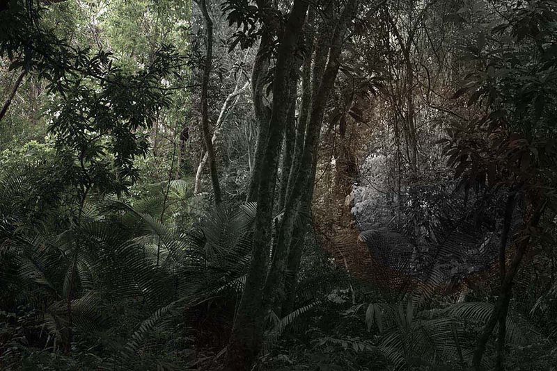 © Ana Leal - Vanishing #12