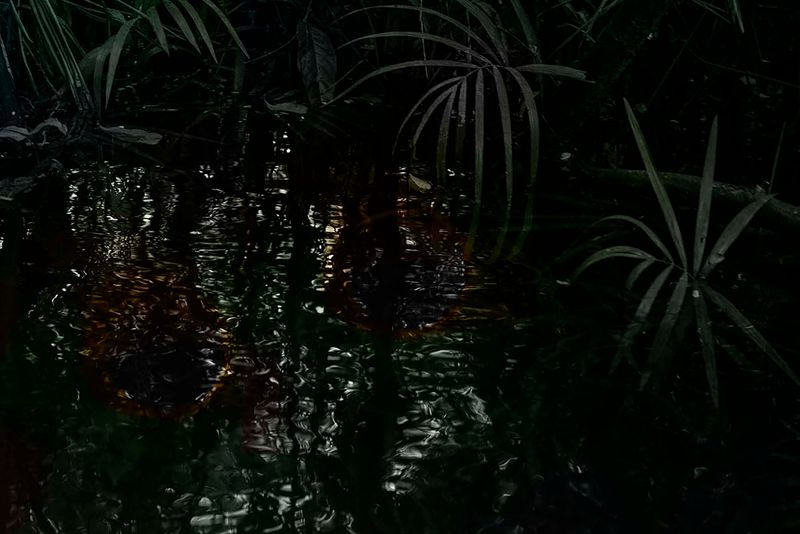 © Ana Leal - Vanishing #2