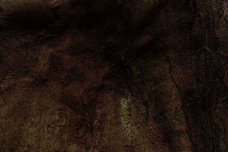 © Ana Leal - Subtle Amazon 14