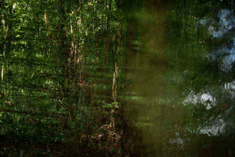 © Ana Leal - Subtle Amazon 15