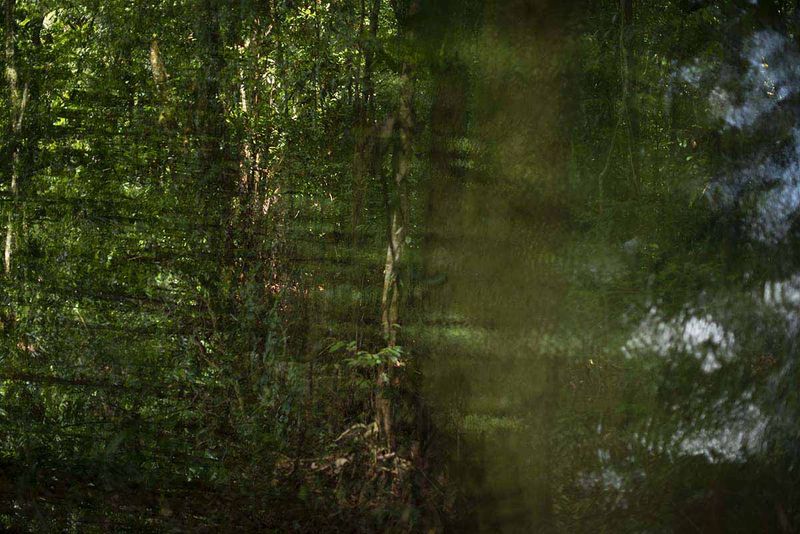 © Ana Leal - Subtle Amazon 15
