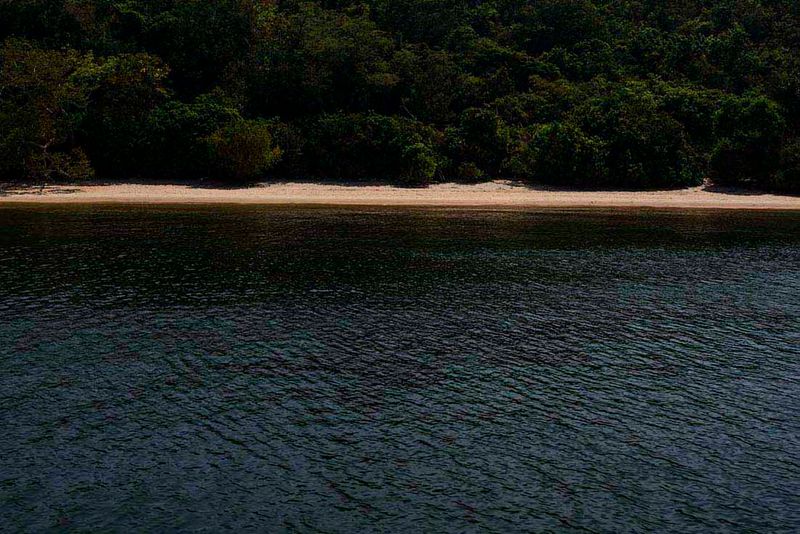 © Ana Leal - Subtle Amazon 1