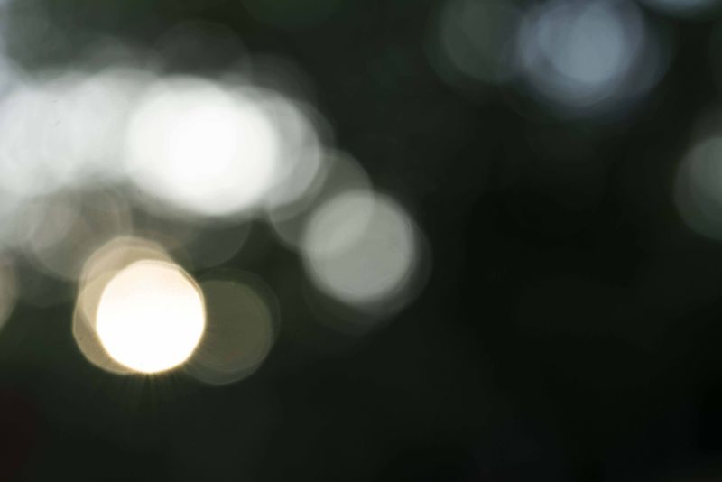 © Ana Leal - Subtle Amazon 5