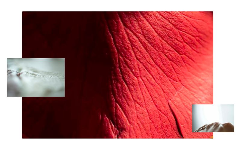 © Ana Leal - Image from the Menos Pausa photography project