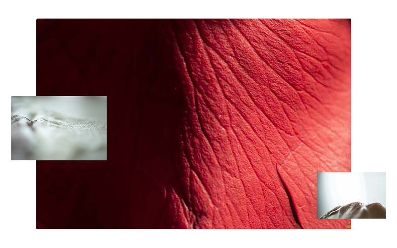 © Ana Leal - Image from the Menos Pausa photography project