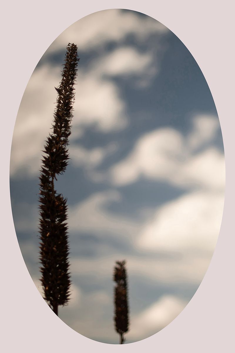 © Ana Leal - Image from the Chão de Histórias photography project