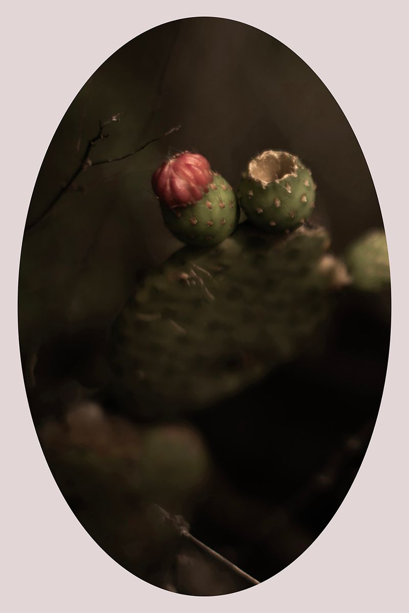 © Ana Leal - Image from the Chão de Histórias photography project