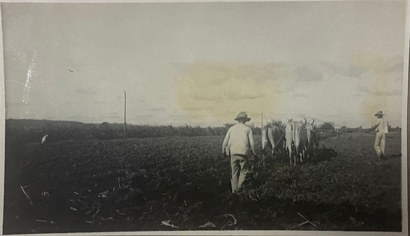 © Ana Leal - Image from the Chão de Histórias photography project