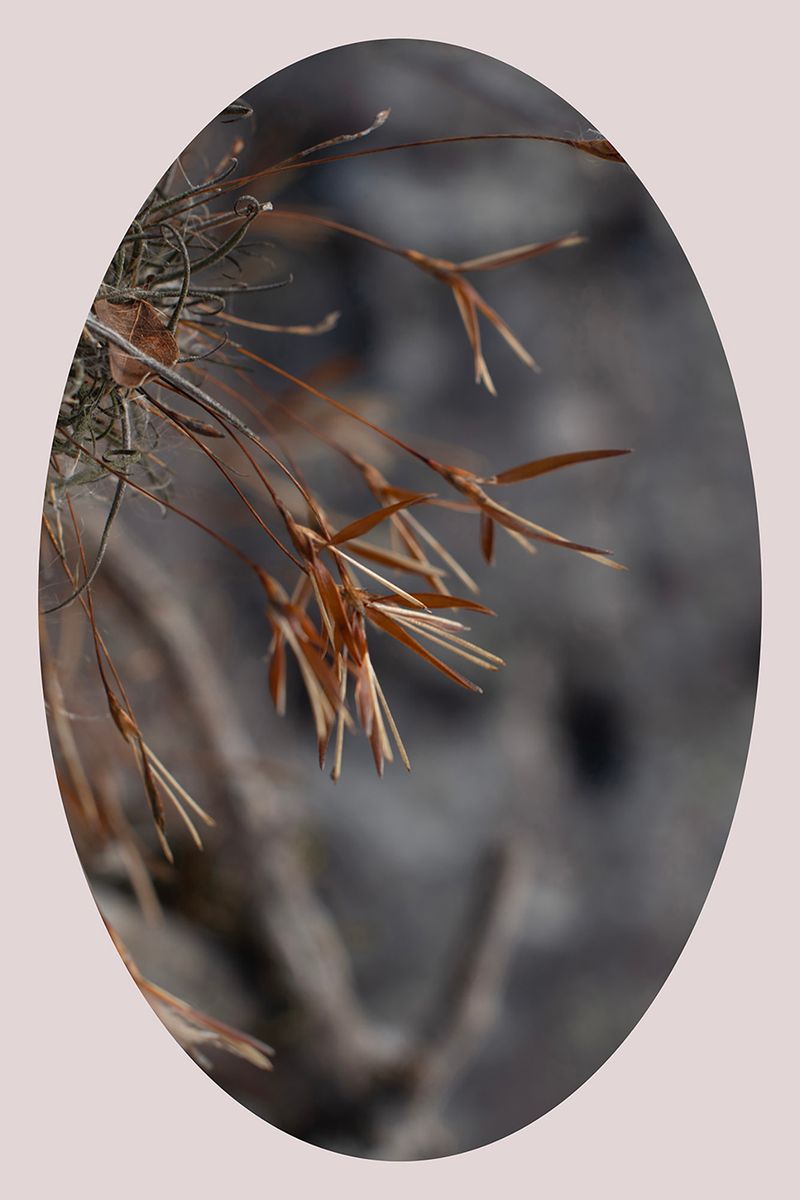 © Ana Leal - Image from the Chão de Histórias photography project