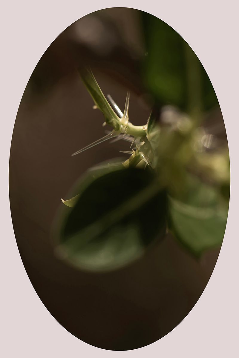 © Ana Leal - Image from the Chão de Histórias photography project