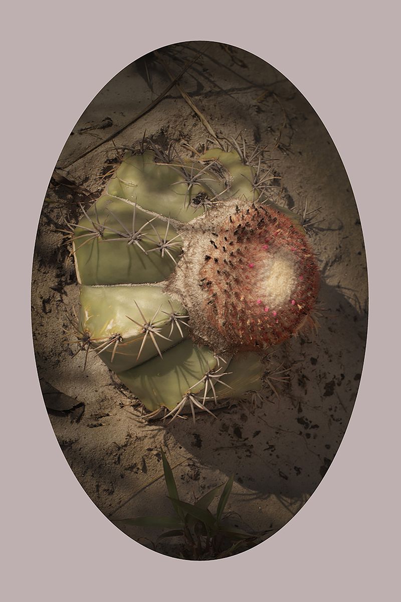 © Ana Leal - Image from the Chão de Histórias photography project