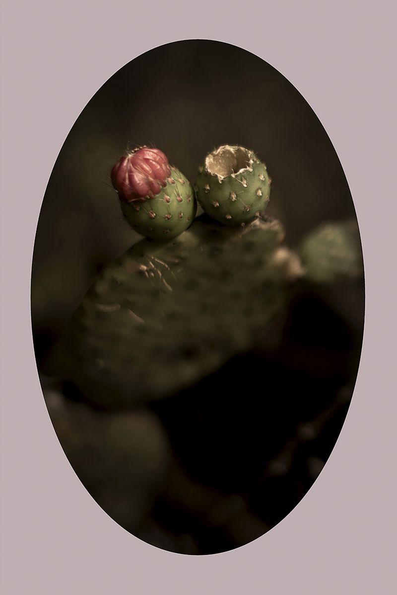 © Ana Leal - Image from the Chão de Histórias photography project