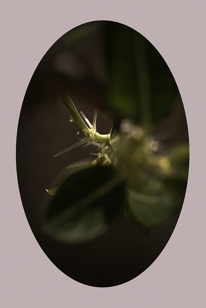 © Ana Leal - Image from the Chão de Histórias photography project
