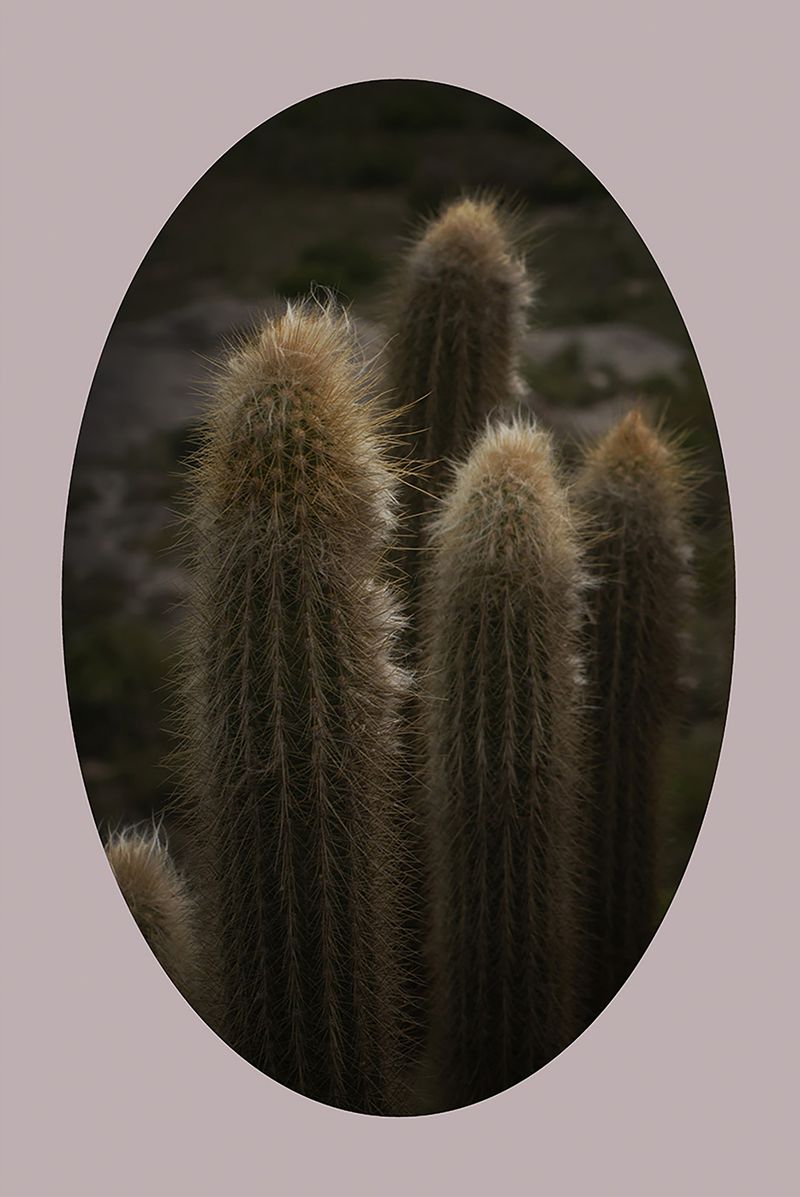 © Ana Leal - Image from the Chão de Histórias photography project