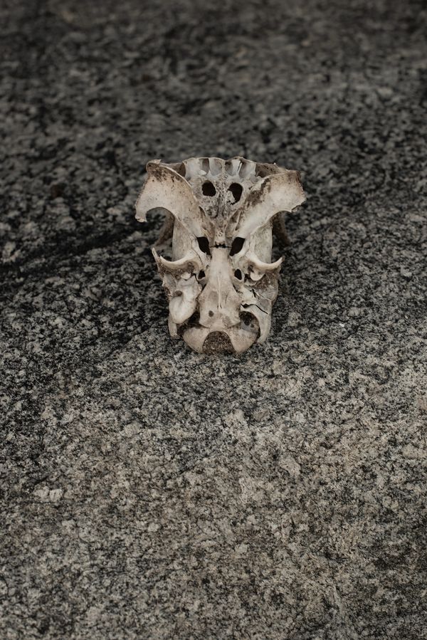 © Ana Leal - Image from the Chão de Histórias photography project