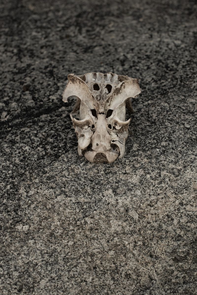 © Ana Leal - Image from the Chão de Histórias photography project