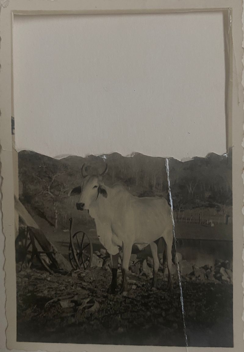 © Ana Leal - Image from the Chão de Histórias photography project