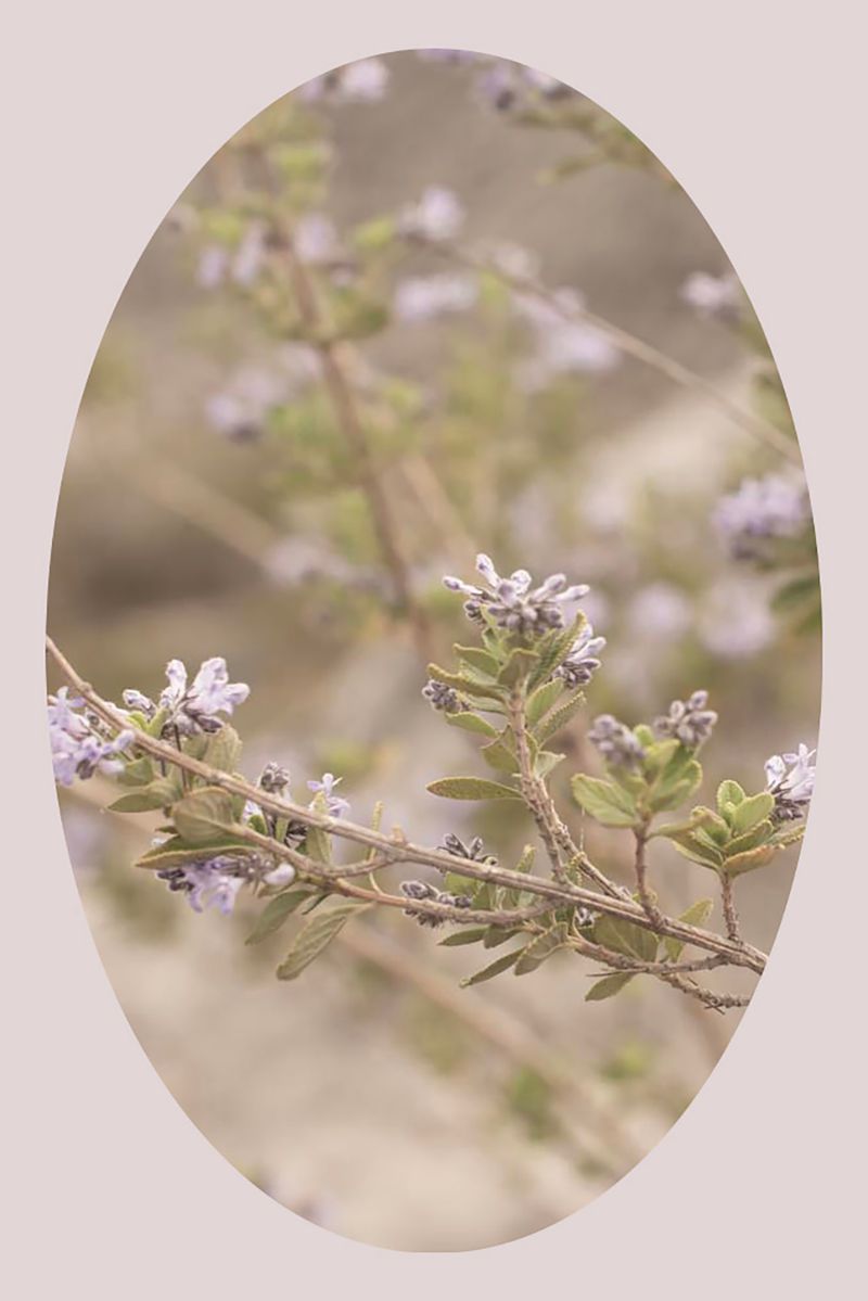 © Ana Leal - Image from the Chão de Histórias photography project