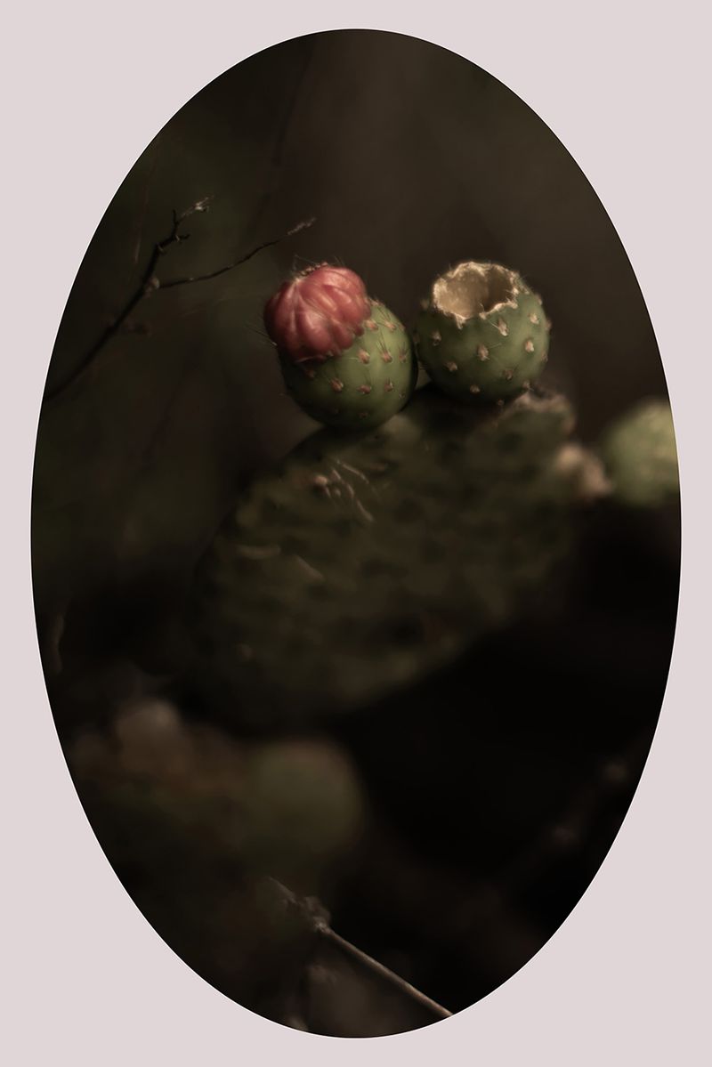 © Ana Leal - Image from the Chão de Histórias photography project