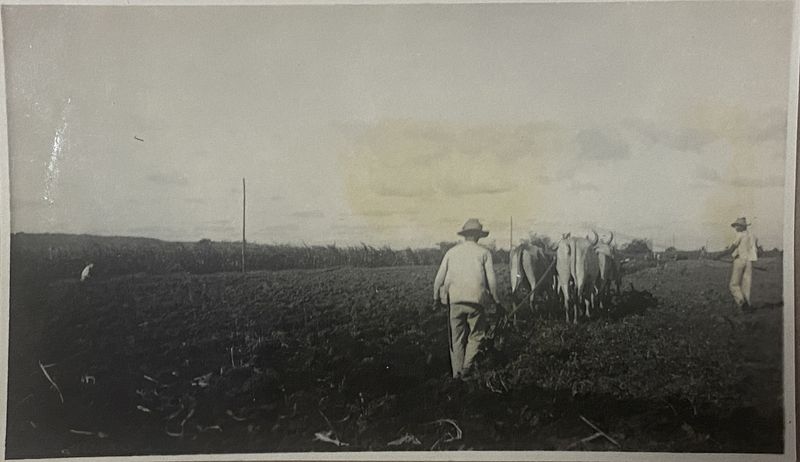 © Ana Leal - Image from the Chão de Histórias photography project