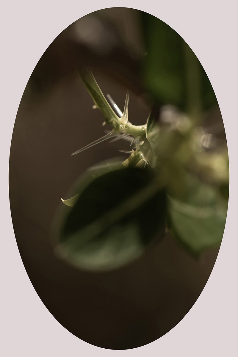 © Ana Leal - Image from the Chão de Histórias photography project