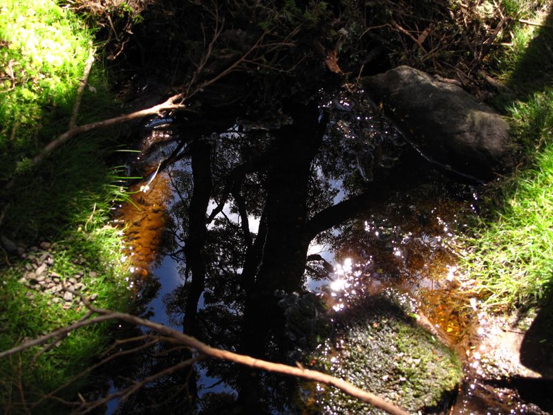© Cristina Erdmann - "The eye of the pond" Tasmania, Australia, 2018