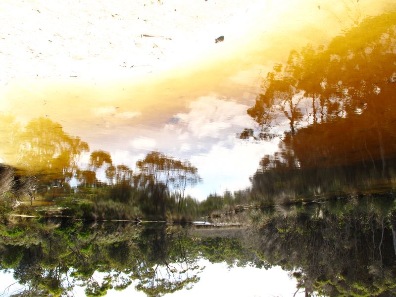 © Cristina Erdmann - "Teatree delight" Tasmania, Australia, 2018