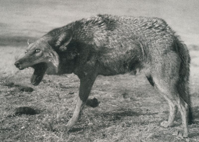 © Carla Liesching - Image from the Powder Blue photography project