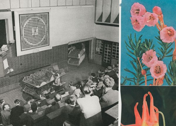 © Carla Liesching - Image from the Powder Blue photography project